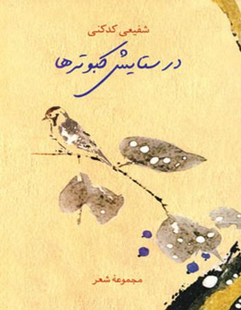 در ستایش کبوترها